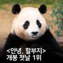 애들아 푸바오 영화 지금 개봉 1등이래 이미지