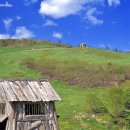 초원목장B 이미지