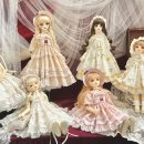 클레시스(klesis) 이미지