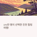 출렁다리 이팝나무길 | 진천, 하루 만에 떠나는 힐링 여행! 170만 명이 선택한 출렁다리·천년 농다리·이팝나무길 완전정복