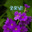 퓨젼통신 이미지