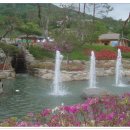 초가민박 이미지