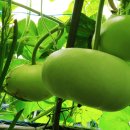 신기농장 이미지