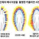퀀텀파동센타 이미지