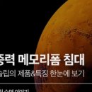 마스슬립 이미지