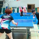 울진군민체육관 이미지