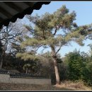 율수재(聿修齋) 이미지