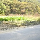 여주-0928 이미지