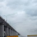 돈유1로 | [블랙핑크 X 서울 PINK AREA] 직접 가본 후기