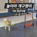 개구쟁이 - 노원구 상계로23길 10 | [부산] 기장 애견카페 - 놀아라 개구쟁이 후기