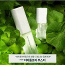 인셀덤 퍼스트 | [2+1 할인 행사 마감 임박] 인셀덤 더마톨로지 퍼스트 패키지 4주 후기｜부스터&세럼으로 탄력·광채...