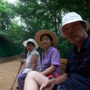 용봉약국 Daum카페