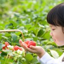 한강가족농장 이미지