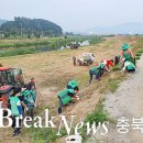 요도천변길 이미지