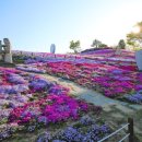 조각공원앞 1 이미지