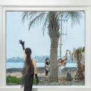 제주코롱코롱 이미지