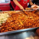 배때기네하우스 이미지