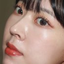 크린틴트