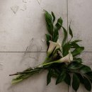 법무법인더베스트 - 남양주시 다산중앙로82번안길 160 | 법무법인더베스트