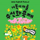 노란거북이 이미지