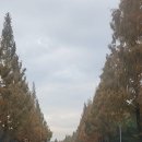 창녕대로 이미지