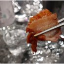 라운지독 이미지