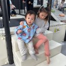 몽산포그린캠핑장 이미지