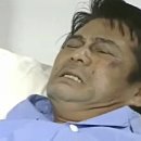 티어하임 동물병원 이미지