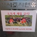 상현달커피 | [군산] 신시도자연휴양림 숙박 후기 숲속의 집 상현달 하현달