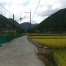 운제산장 이미지