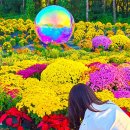 드림인력(주)