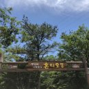 오고파 | [제주여행/서귀포] 서귀포자연휴양림에서의 하루