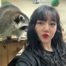 의정부피부과 콜라겐부스터 콜라겐주사 올리디아 후기 부작용