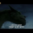 피터컴퍼니