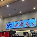 (주)팀코리아 | 팀홀튼 랍스터롤 팀홀튼 삼성역점 한정 메뉴 품절 전 주문 꿀팁 내돈내산 후기