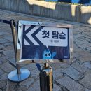 탄지교육 이미지