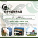 영천곤충
