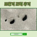 리사운드보청기 - 동구 동계천로 74 | 리사운드 보청기 A/S에서 벨톤 '세린'으로 교체한 후기