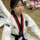 강일태권도 이미지