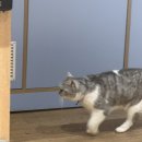 노크눅