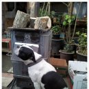 봉팔이네 이미지