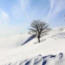 햇살목장 이미지