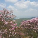 화학산등산로 이미지