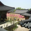 동화사 이미지