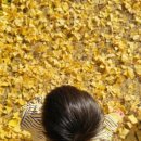 대율보건진료소 이미지