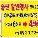 보름달떡