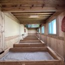 편백나무펜션 이미지