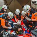 골든라인 이미지