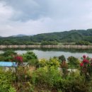 멍 때리는 전망대 이미지