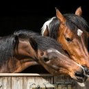 헬로메디칼 이미지